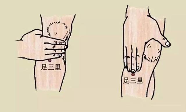 足三里