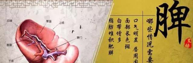 健脾祛湿
