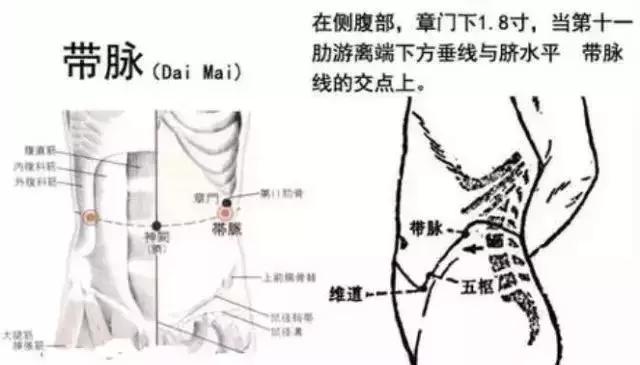 带脉