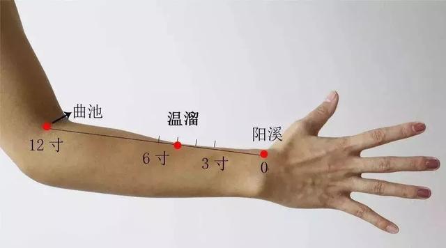 温溜穴