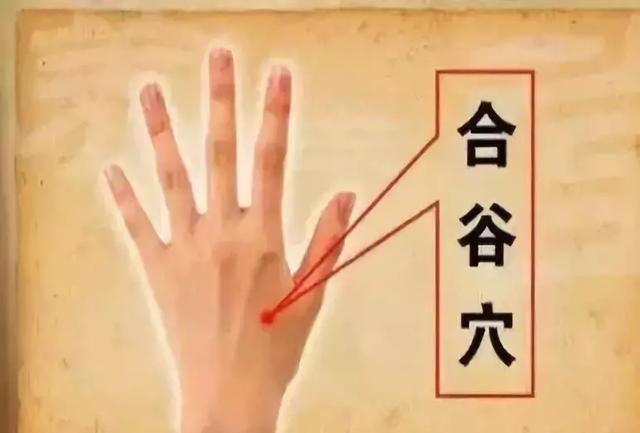 艾灸的作用和禁忌
