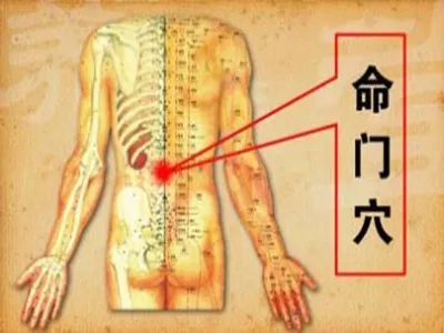 命门穴