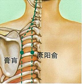 膏盲穴