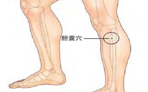 胆囊穴