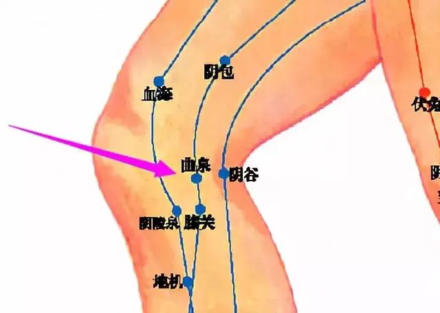 艾灸的作用和禁忌