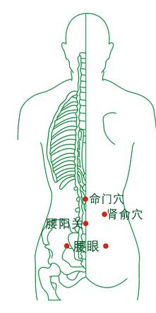 壮阳穴位