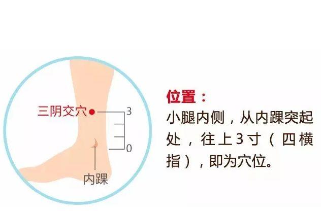 三阴交