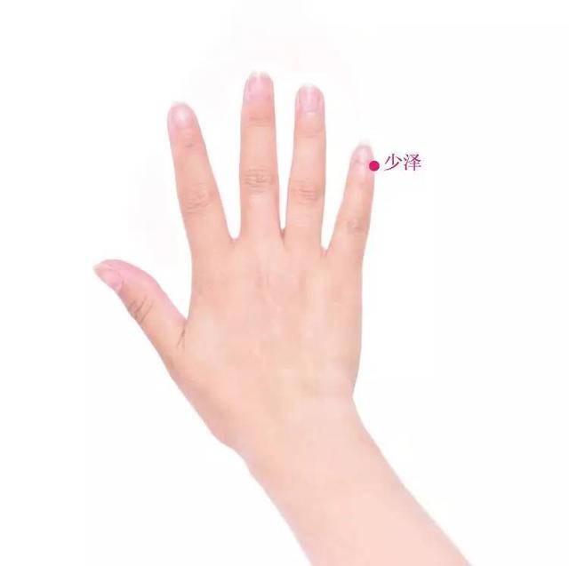 少泽穴