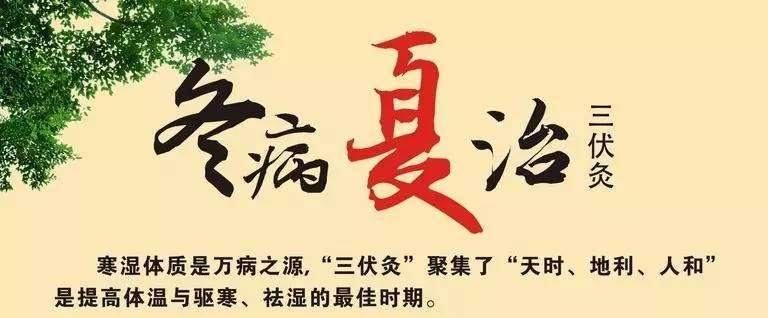 三伏天灸