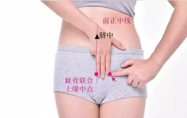 气冲穴