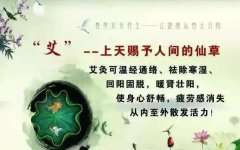 艾灸,到底给我们的身体带来什么?