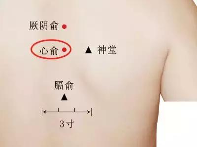 背部取穴