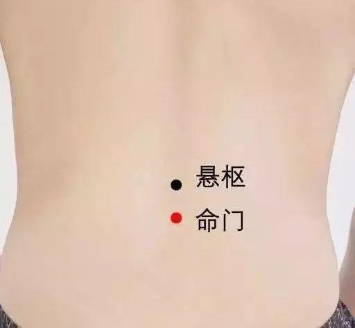 命门穴