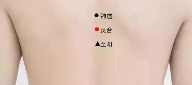 灵台穴