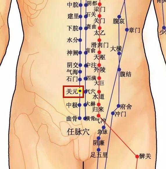 关元