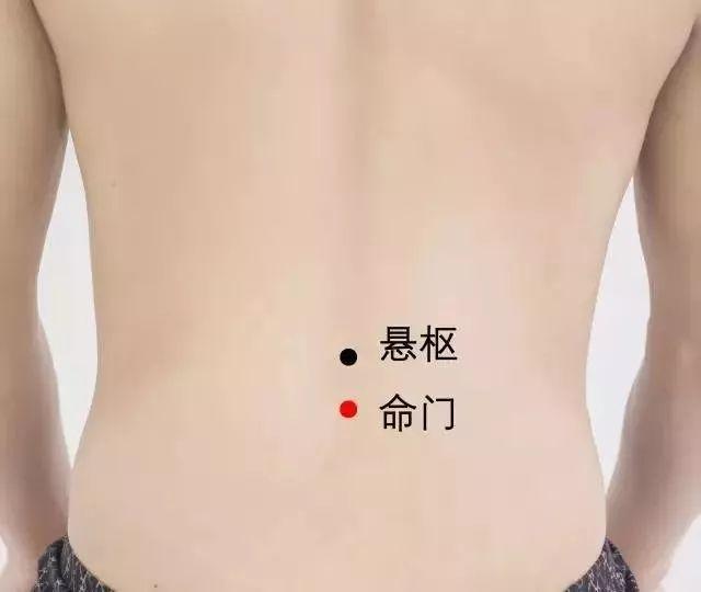 命门穴