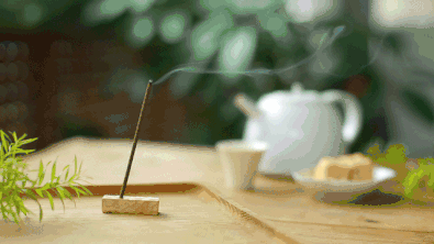 艾灸调百病