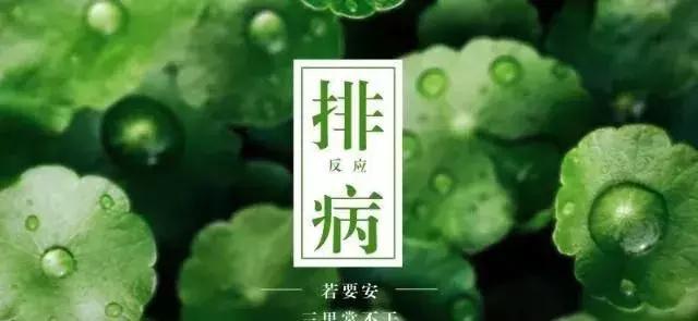 排病反应