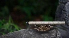 艾灸调理取穴五大原则,你应该懂!