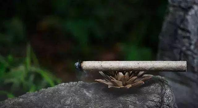 艾灸调理取穴五大原则,你应该懂!
