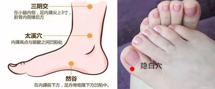 三阴交