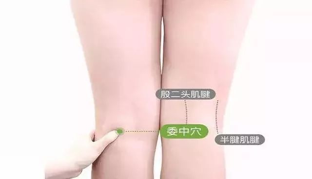 肚脐窝