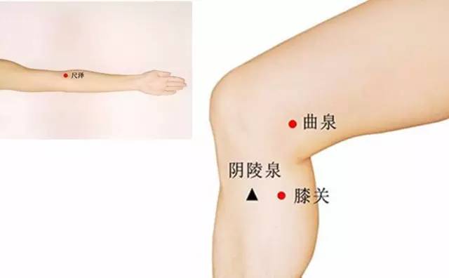 阳陵泉