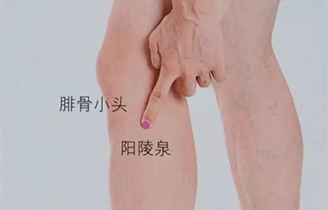阳陵泉