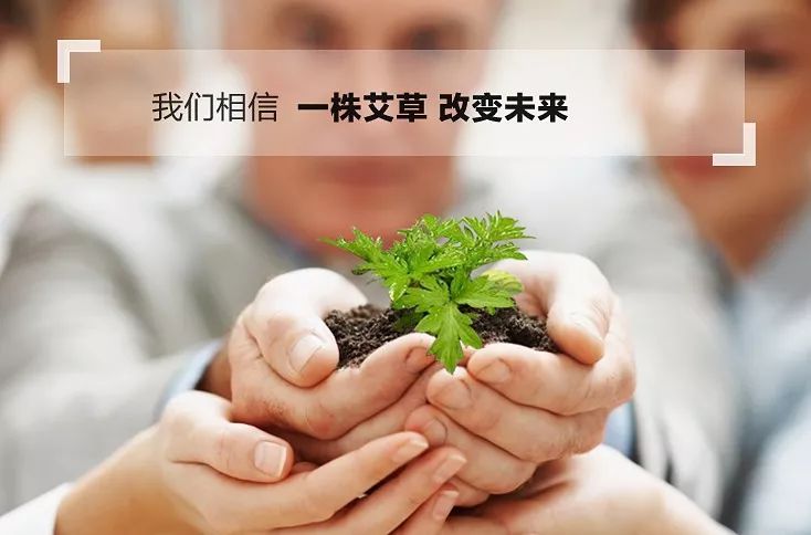 艾真的越陈越好?这些坑踩的人还真是不少!