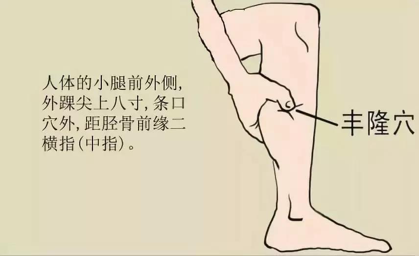 丰隆穴