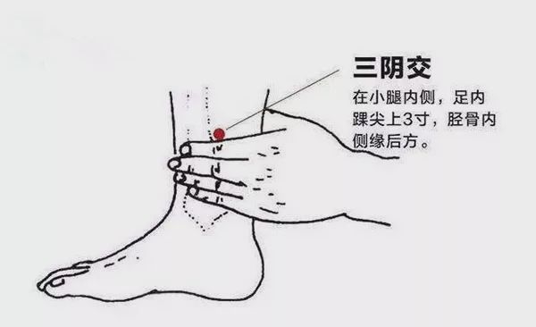 中极穴