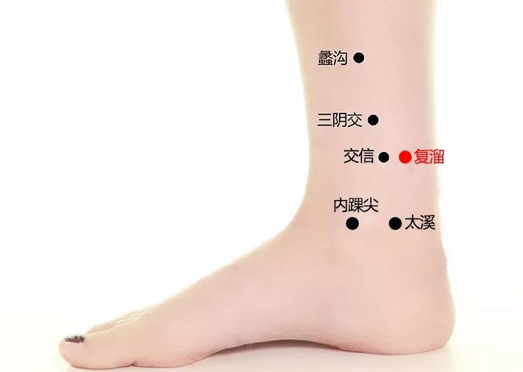 复溜穴