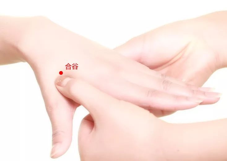 合谷穴