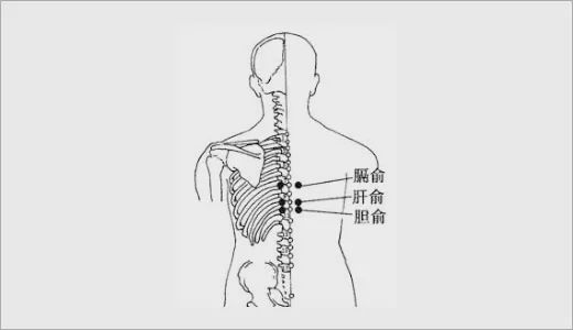 艾灸治疗慢性胆囊炎的穴位和灸法