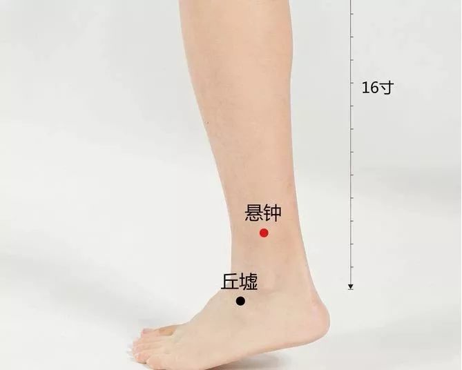 悬钟穴