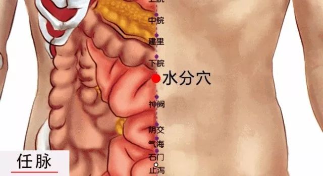 水分穴