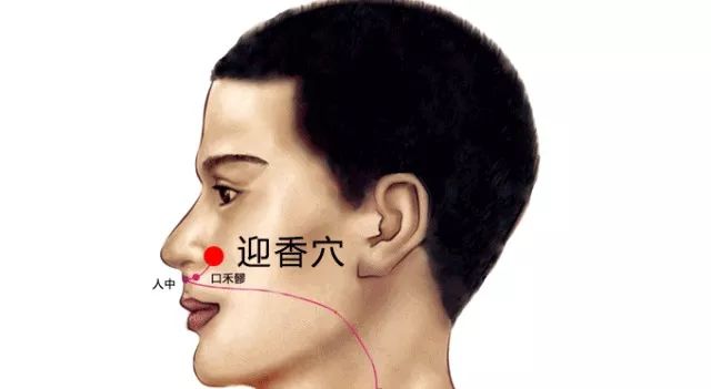 迎香穴