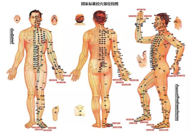 经络学