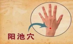 <b>气血不足手脚冰凉开始艾灸,不然又迟了!</b>
