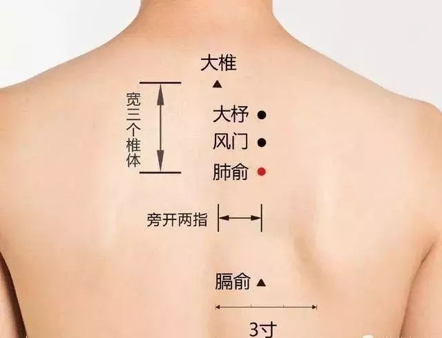 艾灸肺经的穴位及好处!