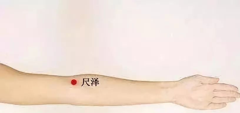 尺泽