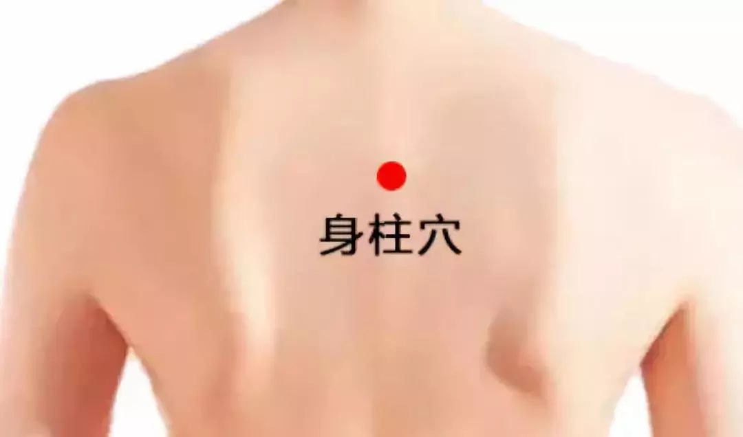 阳脉之海