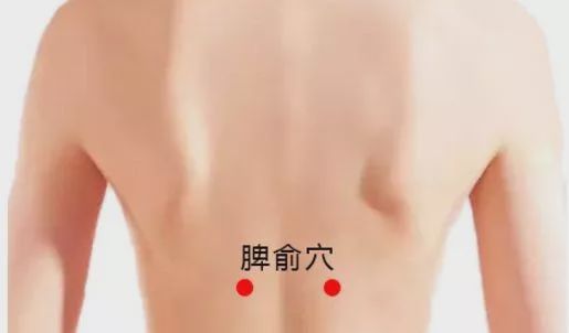 脾俞