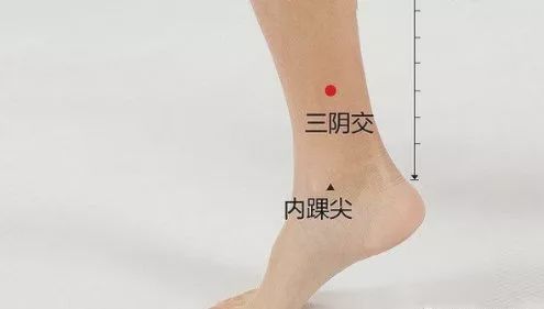 三阴交