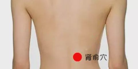 肾俞