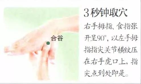合谷穴