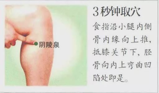 阴陵泉穴