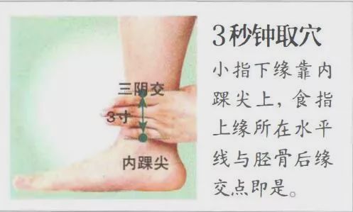 三阴交穴