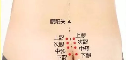 冬令进补
