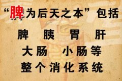 减肥要减对了,艾灸补脾才是减肥关键